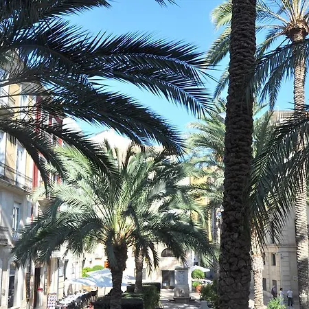 Santisima Faz Alicante